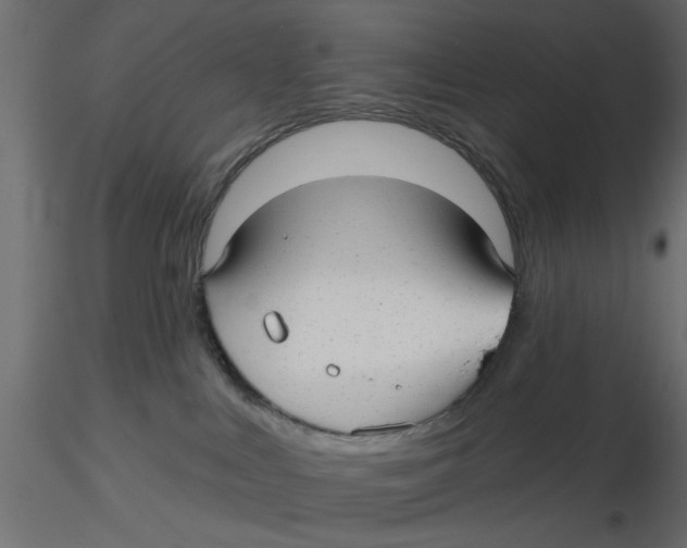 X0000116550043200912311921