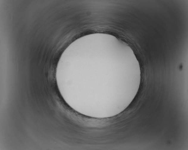 X0000116550044200912311921