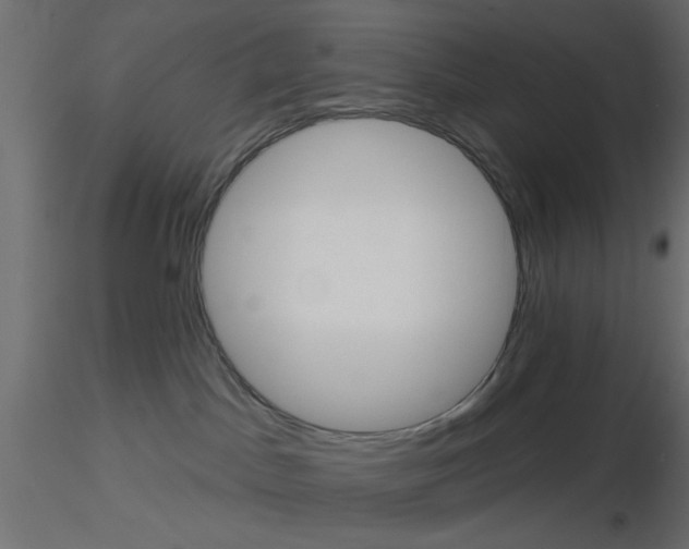 X0000116550045200912311921