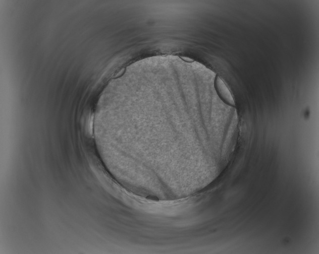 X0000116550046200912311921