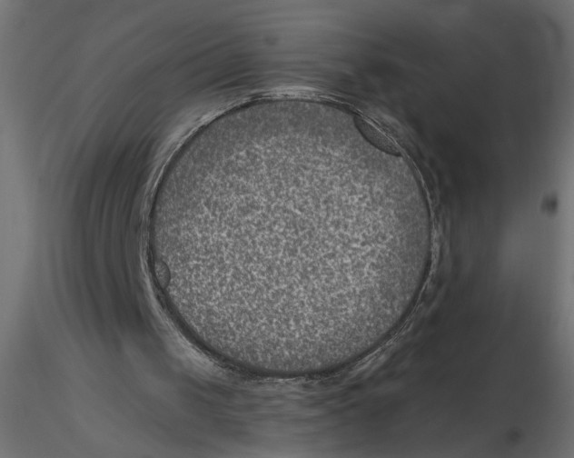 X0000116550049200912311920