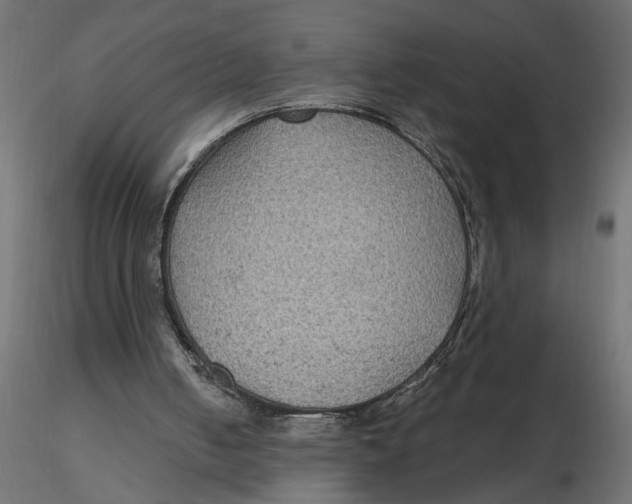 X0000116550050200912311920