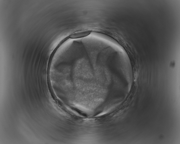 X0000116550052200912311920