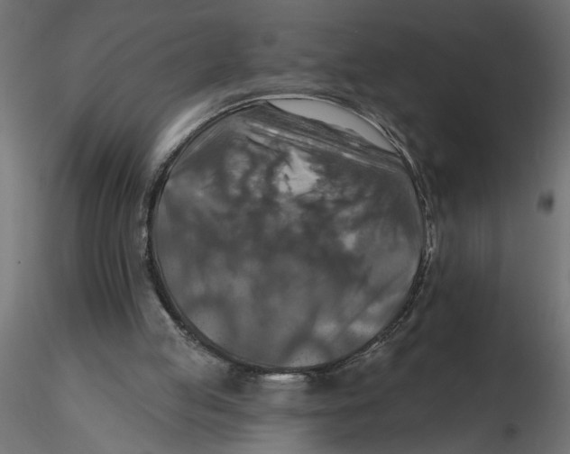 X0000116550053200912311920