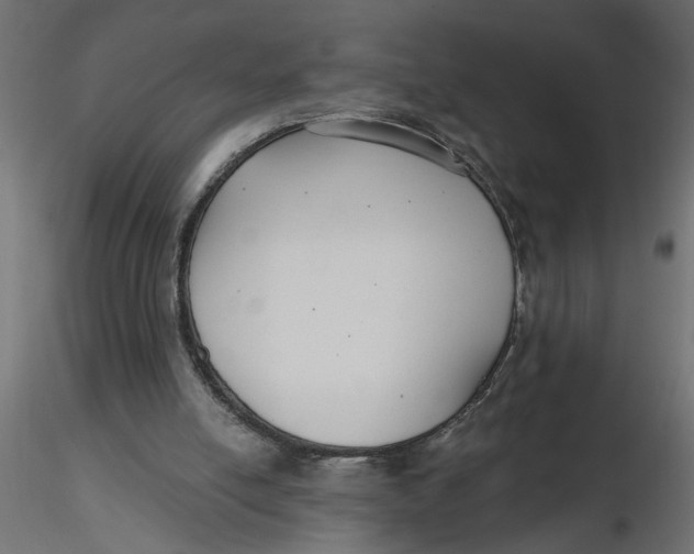 X0000116550054200912311920