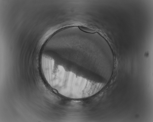 X0000116550055200912311920