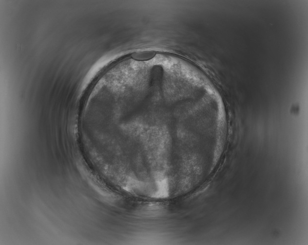 X0000116550056200912311920