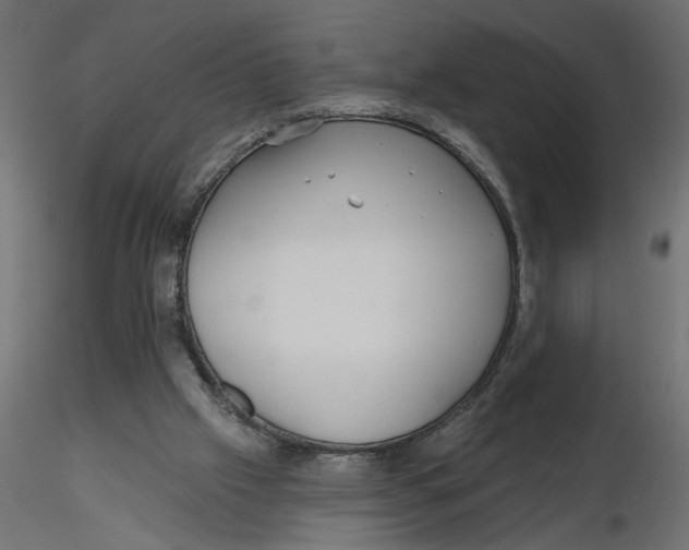 X0000116550057200912311920