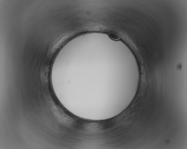 X0000116550058200912311920