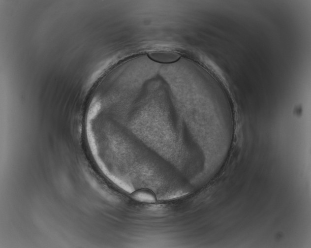 X0000116550059200912311920