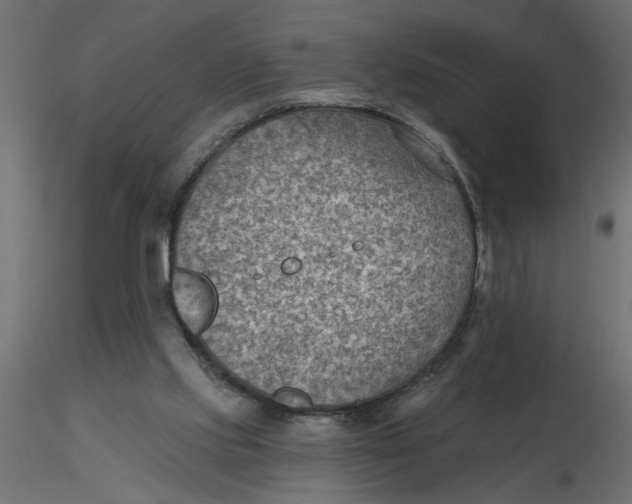 X0000116550061200912311920