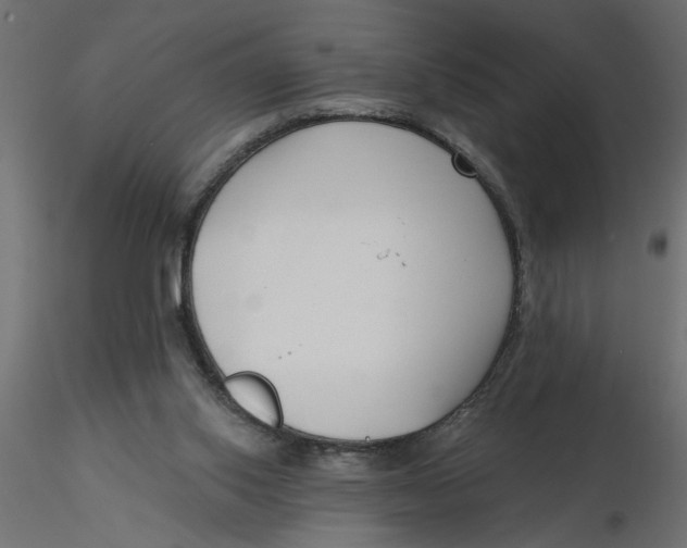 X0000116550062200912311920