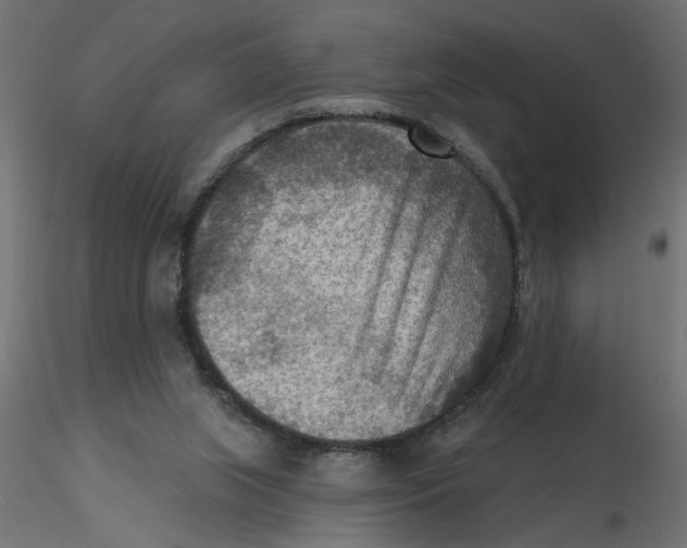 X0000116550063200912311920