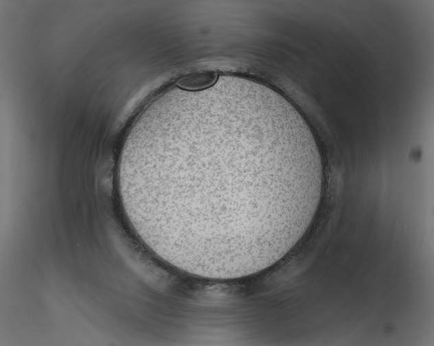 X0000116550064200912311920