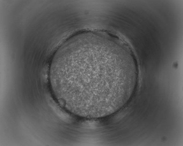 X0000116550065200912311920