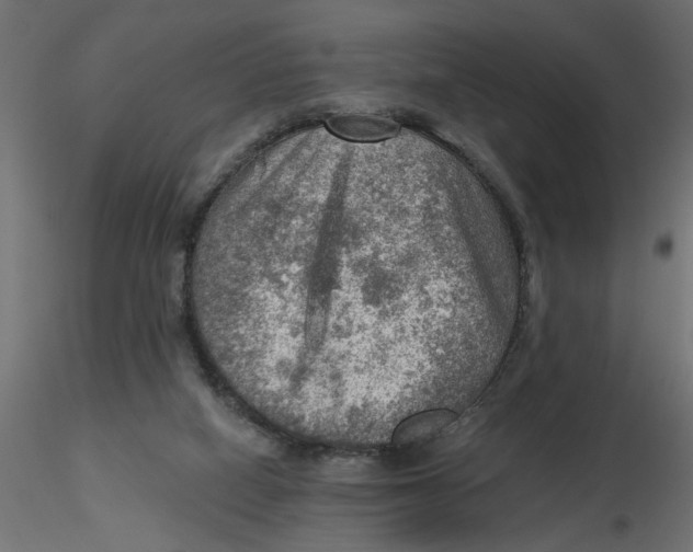 X0000116550066200912311920