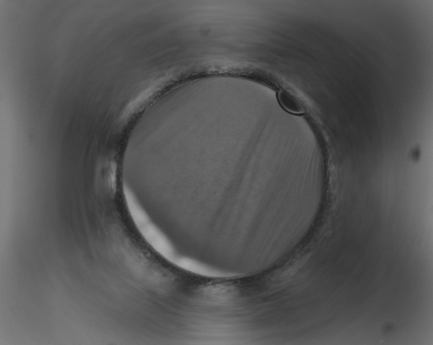 X0000116550067200912311920