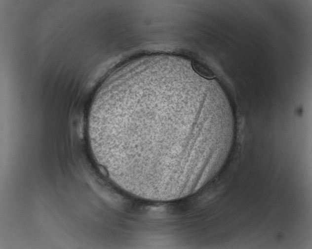 X0000116550068200912311920