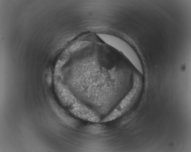 X0000116550069200912311920