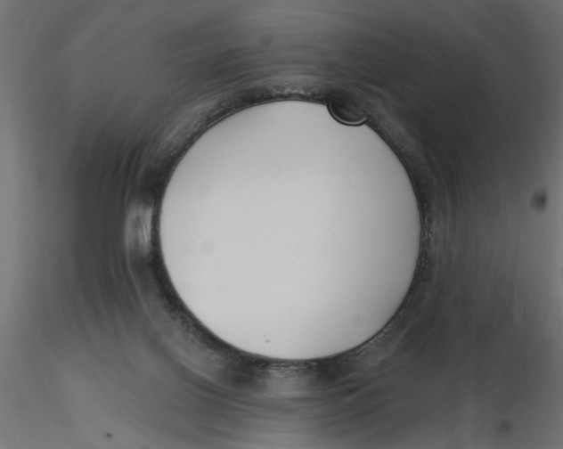 X0000116550070200912311920