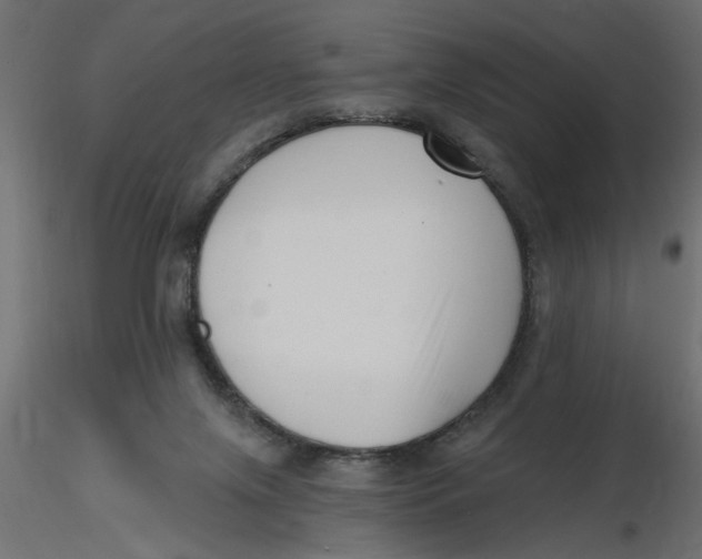 X0000116550071200912311920