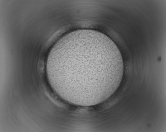 X0000116550072200912311920