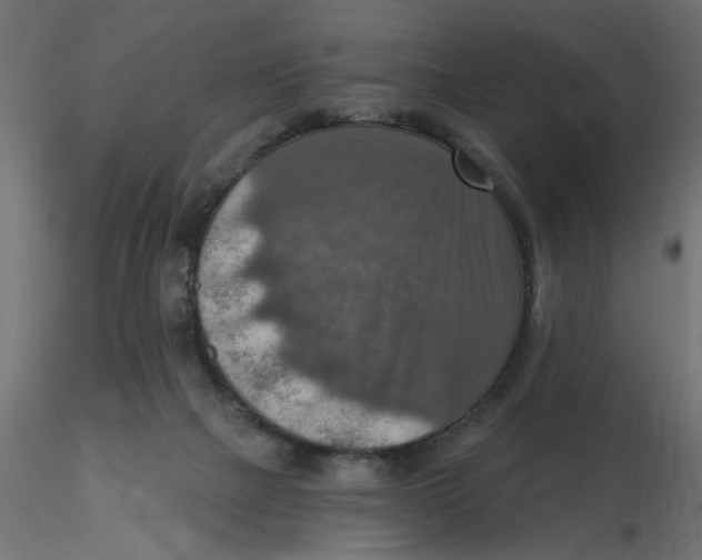 X0000116550073200912311920