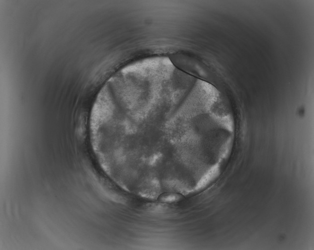 X0000116550074200912311920