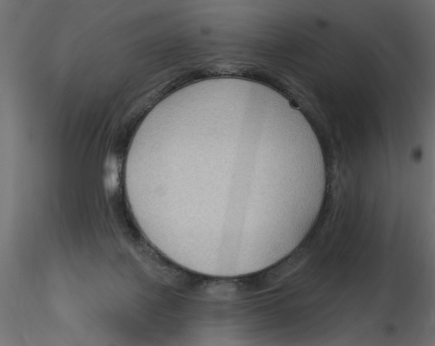 X0000116550075200912311920