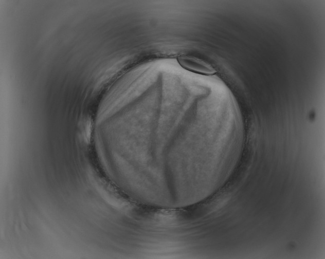 X0000116550076200912311920