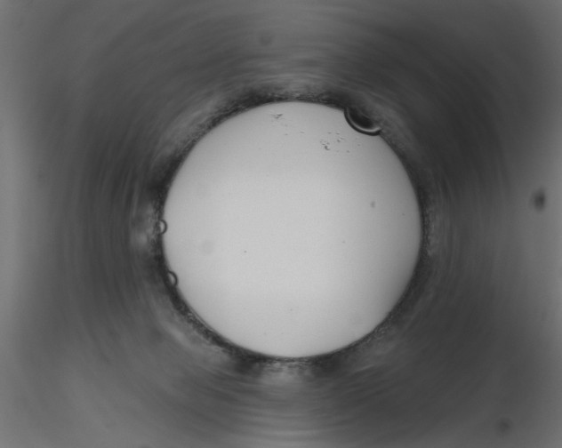 X0000116550077200912311920