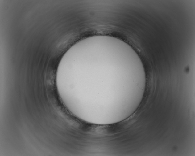 X0000116550078200912311920