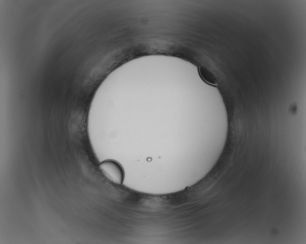 X0000116550079200912311920