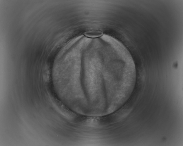 X0000116550080200912311920