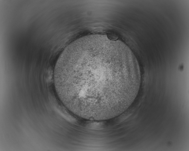 X0000116550081200912311920