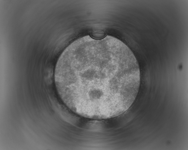 X0000116550082200912311920