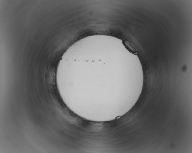 X0000116550083200912311920