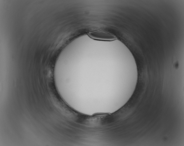 X0000116550084200912311920