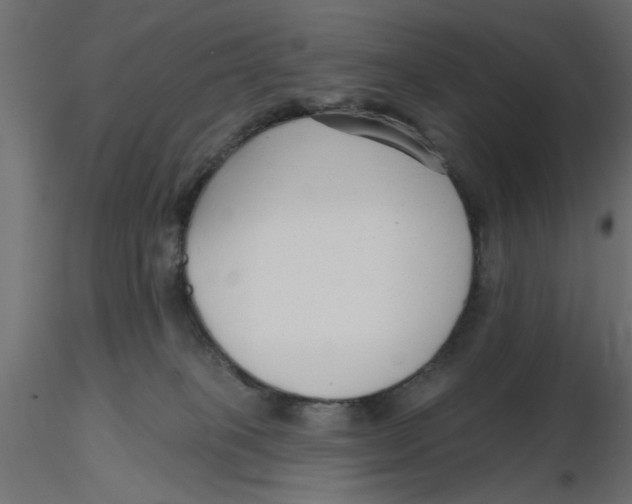 X0000116550085200912311920