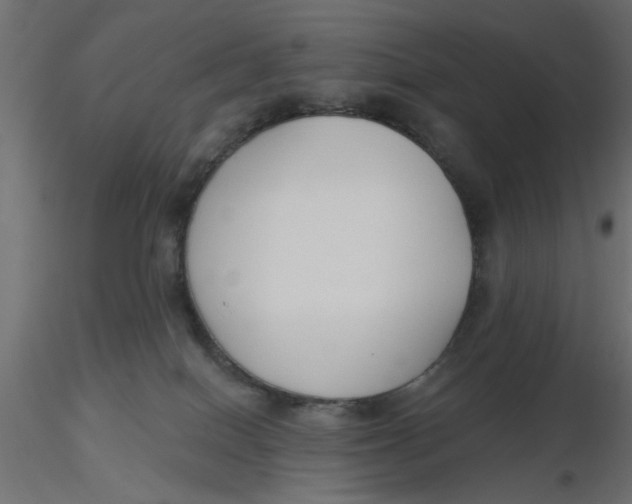 X0000116550086200912311920