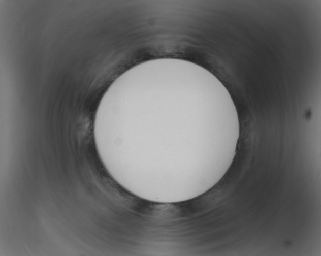 X0000116550087200912311920