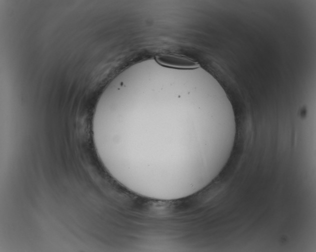 X0000116550088200912311920