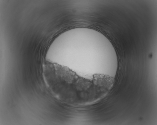 X0000116550089200912311920