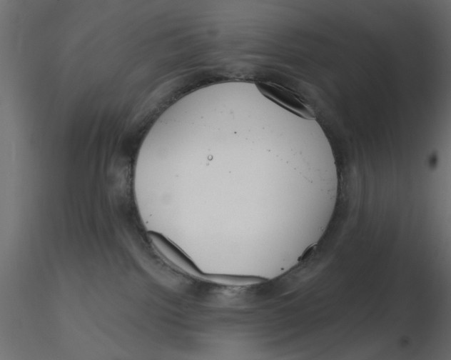 X0000116550092200912311920