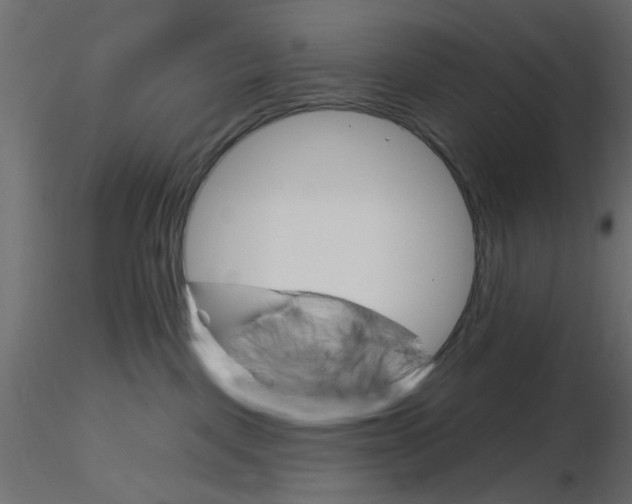 X0000116550093200912311920