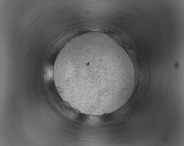 X0000116550095200912311920