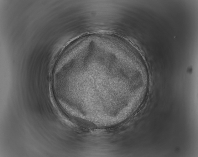 X0000116550097200912311920