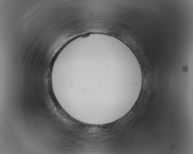 X0000116550098200912311920