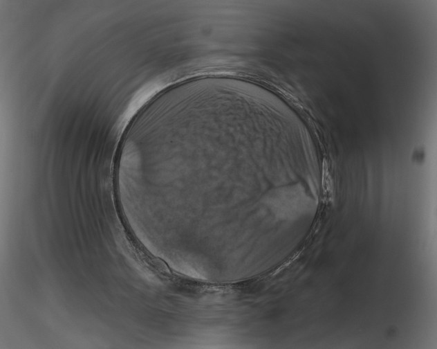 X0000116550099200912311920