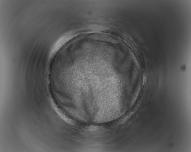 X0000116550101200912311920